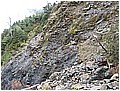 2008-1-25 am 10-20-02-9K崩塌高繞.jpg